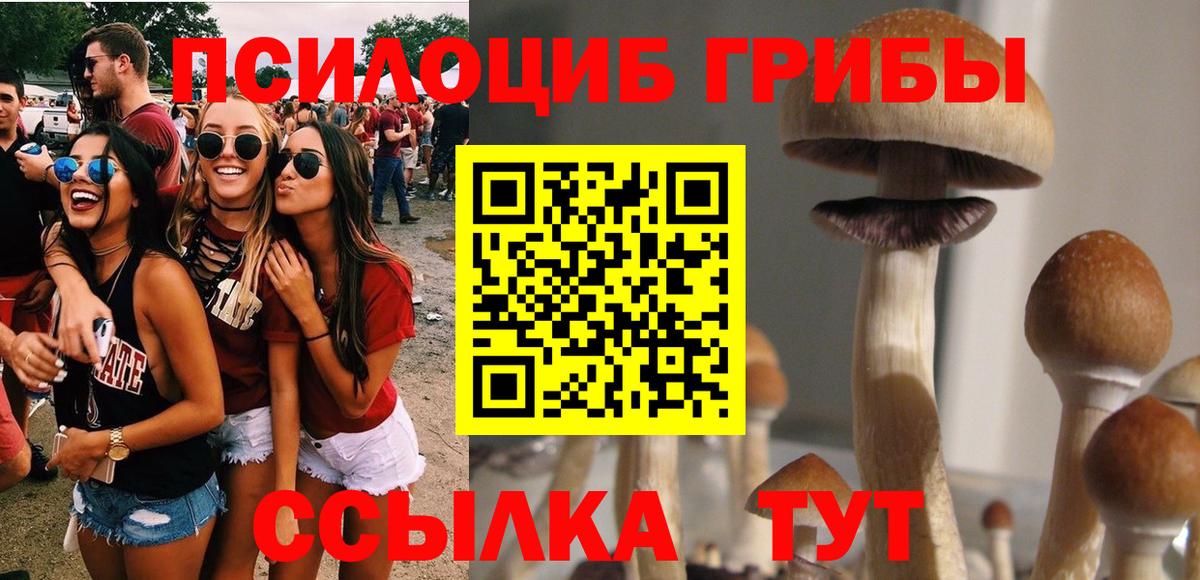 продажа наркотиков  Псилоцибиновые грибы прущие грибы  Вход с VPN  Бутурлиновка 
